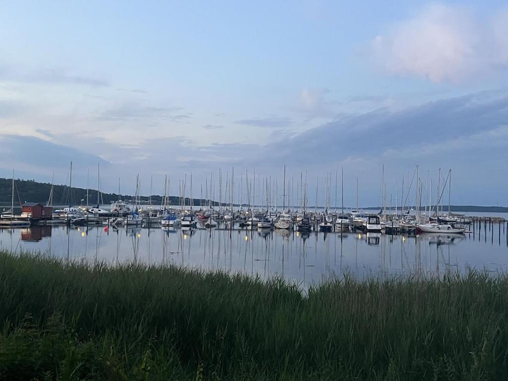 'Kapitaenslounge' Vollsanierte Fewo Mit Blick Auf Die Flensburger Foerde Harreslev Eksteriør billede